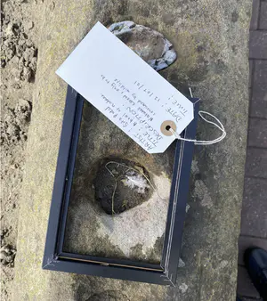 A bowl of nature
Nature's cereal, only to be consumed by wildlife. - Sita Patel More than human high street 3.png